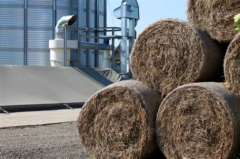 The Best Way to Measure Moisture in Hay Bales 